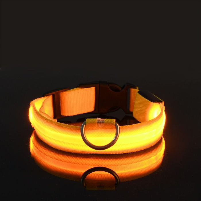 Waterproof LED Dog Collar USB Rechargeable Night Safety Pet Collar - Monsta Online