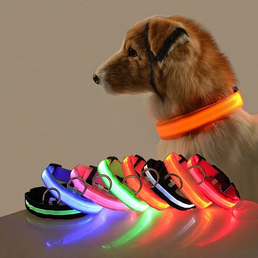 Waterproof LED Dog Collar USB Rechargeable Night Safety Pet Collar - Monsta Online