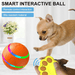 Interactive Dog & Cat Ball Toy – Remote Control, LED Lights, Auto - Rolling & Waterproof - Monsta Online