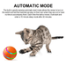 Interactive Dog & Cat Ball Toy – Remote Control, LED Lights, Auto - Rolling & Waterproof - Monsta Online