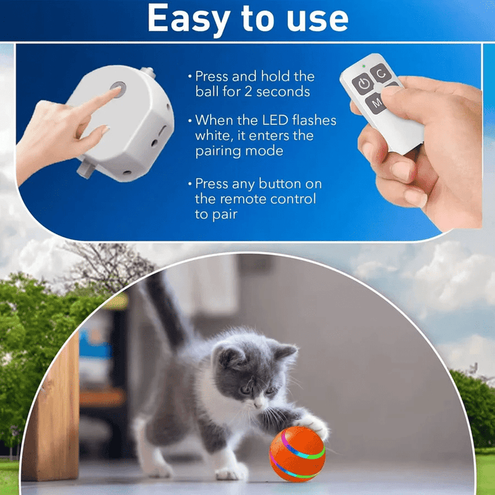 Interactive Dog & Cat Ball Toy – Remote Control, LED Lights, Auto - Rolling & Waterproof - Monsta Online