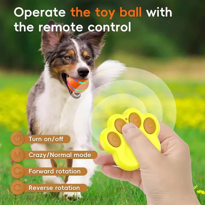 Interactive Dog & Cat Ball Toy – Remote Control, LED Lights, Auto - Rolling & Waterproof - Monsta Online