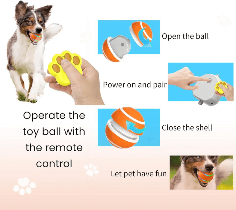 Interactive Dog & Cat Ball Toy – Remote Control, LED Lights, Auto - Rolling & Waterproof - Monsta Online