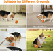 Interactive Dog & Cat Ball Toy – Remote Control, LED Lights, Auto - Rolling & Waterproof - Monsta Online