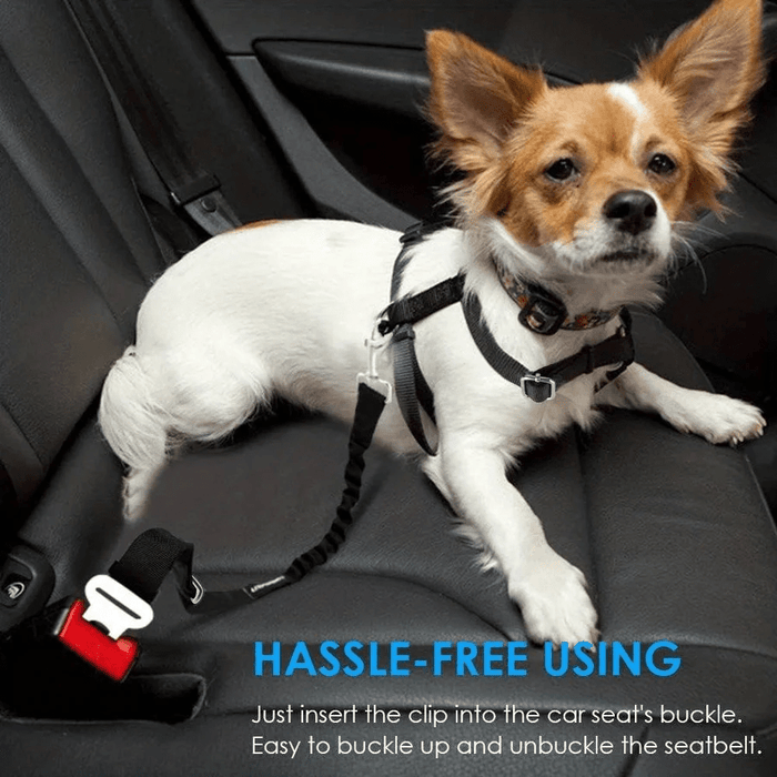 Dog Car Seat Safety Belt – Adjustable, Elastic Bungee Buffer & Heavy - Duty Stainless Steel - Monsta Online