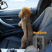 Dog Car Seat Safety Belt – Adjustable, Elastic Bungee Buffer & Heavy - Duty Stainless Steel - Monsta Online