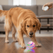 Interactive Dog & Cat Ball Toy – Remote Control, LED Lights, Auto - Rolling & Waterproof - Monsta Online