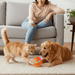 Interactive Dog & Cat Ball Toy – Remote Control, LED Lights, Auto - Rolling & Waterproof - Monsta Online