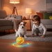 Interactive Dog & Cat Ball Toy – Remote Control, LED Lights, Auto - Rolling & Waterproof - Monsta Online