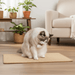 Sisal Cat Scratcher Mat – Floor & Wall Mountable, Natural Claw Care - Monsta Online