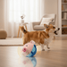 Dog & Cat Interactive Toy Ball – Touch Activated Music, Motion & Remote Control - Monsta Online