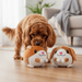 Dog & Cat Interactive Toy Ball – Touch Activated Music, Motion & Remote Control - Monsta Online