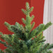 6FT Flocked Artificial Christmas Tree — 1821 Tips, Unlit, Auto - Open Hinged, Wide Full Shape, Metal Base - Monsta Online