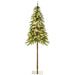 6FT Pencil Pre - Lit Artificial Christmas Tree — 175 LEDs, 442 Tips, 7 Light Modes, Warm White or Multi - Color, Steel Base - Monsta Online