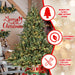 6FT Pre - Lit Artificial Christmas Tree — Mixed PE/PVC, 500 LED Lights, Hinged Metal Stand - Monsta Online