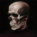 Halloween Full Head Skull Mask – Scary Realistic Movable Jaw Skeleton Helmet Cosplay Prop - Monsta Online