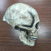 Halloween Full Head Skull Mask – Scary Realistic Movable Jaw Skeleton Helmet Cosplay Prop - Monsta Online