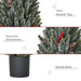 1.5FT Tabletop Snow Flocked Artificial Christmas Tree — 170 Tips, Red Berries, Pine Cones, No Assembly - Monsta Online