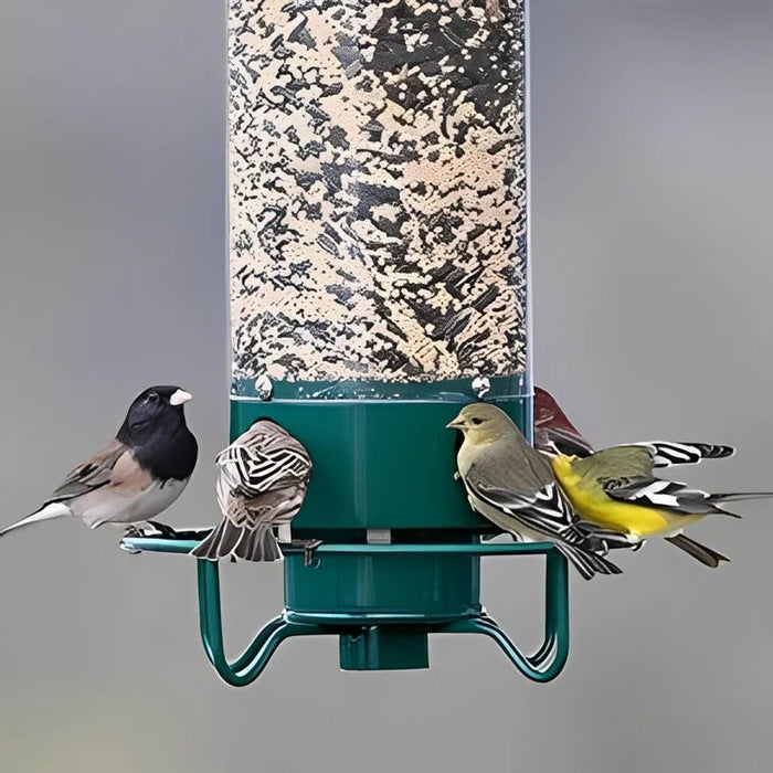 Squirrel - Proof Wild Bird Feeder – Weight - Activated Spinning Perch - Monsta Online