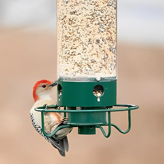Squirrel - Proof Wild Bird Feeder – Weight - Activated Spinning Perch - Monsta Online