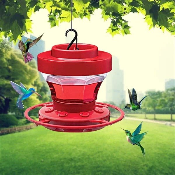 Bee - Proof Hummingbird Feeder with Perch – Ant Moat & Leak - Proof Design - Monsta Online