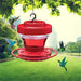 Bee - Proof Hummingbird Feeder with Perch – Ant Moat & Leak - Proof Design - Monsta Online