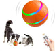Interactive Dog & Cat Ball Toy – Remote Control, LED Lights, Auto - Rolling & Waterproof - Monsta Online