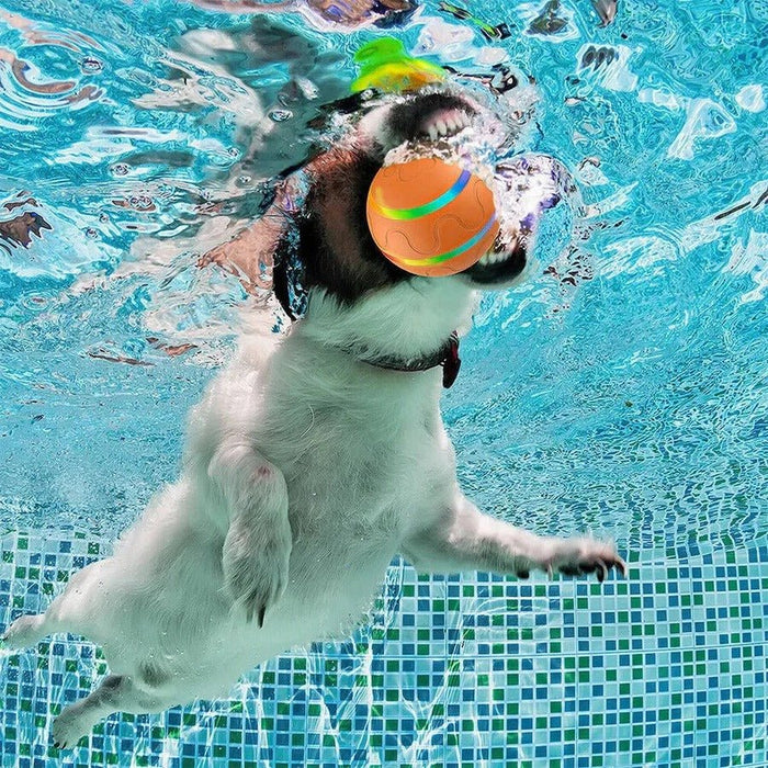 Interactive Dog & Cat Ball Toy – Remote Control, LED Lights, Auto - Rolling & Waterproof - Monsta Online