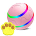 Interactive Dog & Cat Ball Toy – Remote Control, LED Lights, Auto - Rolling & Waterproof - Monsta Online