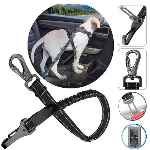 Dog Car Seat Safety Belt – Adjustable, Elastic Bungee Buffer & Heavy - Duty Stainless Steel - Monsta Online