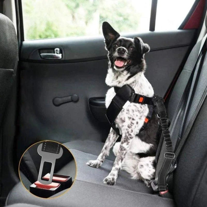 Dog Car Seat Safety Belt – Adjustable, Elastic Bungee Buffer & Heavy - Duty Stainless Steel - Monsta Online