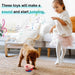 Dog & Cat Interactive Toy Ball – Touch Activated Music, Motion & Remote Control - Monsta Online