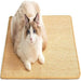 Sisal Cat Scratcher Mat – Floor & Wall Mountable, Natural Claw Care - Monsta Online
