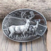 Men's Oval Cowboy Belt Buckle – Premium Metal Western Accessory for Rodeo - Monsta Online