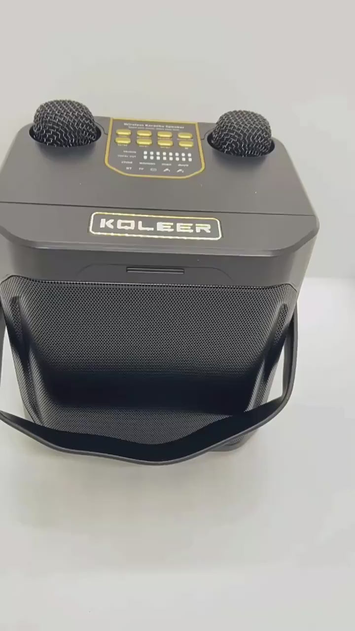 Karaoke Bluetooth Party Speaker