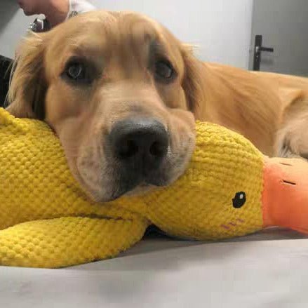 QuackyPaws Calming Duck Toy – Soft Plush Squeaky Stress Relief Toy for Puppies & Small Dogs - Monsta Online