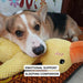 QuackyPaws Calming Duck Toy – Soft Plush Squeaky Stress Relief Toy for Puppies & Small Dogs - Monsta Online