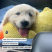 QuackyPaws Calming Duck Toy – Soft Plush Squeaky Stress Relief Toy for Puppies & Small Dogs - Monsta Online