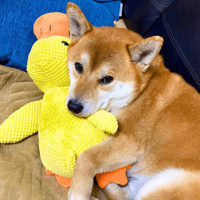 QuackyPaws Calming Duck Toy – Soft Plush Squeaky Stress Relief Toy for Puppies & Small Dogs - Monsta Online