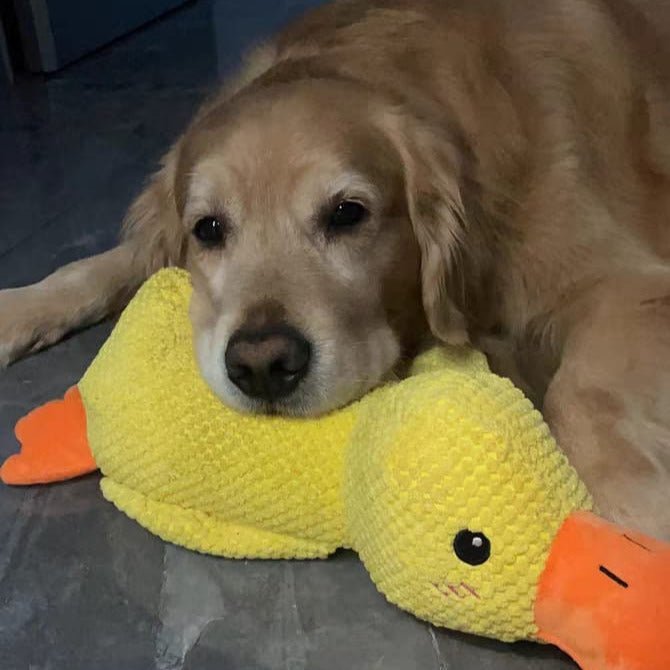 QuackyPaws Calming Duck Toy – Soft Plush Squeaky Stress Relief Toy for Puppies & Small Dogs - Monsta Online