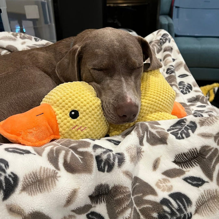 QuackyPaws Calming Duck Toy – Soft Plush Squeaky Stress Relief Toy for Puppies & Small Dogs - Monsta Online