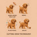 Interactive Robot Puppy Toy – Lifelike Golden Retriever That Walks, Barks & Wags - Monsta Online
