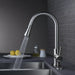 Chef’s Choice Single - Handle Kitchen Sink Faucet with Pull - Down Sprayer - Monsta Online
