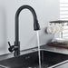 Chef’s Choice Single - Handle Kitchen Sink Faucet with Pull - Down Sprayer - Monsta Online