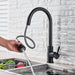 Chef’s Choice Single - Handle Kitchen Sink Faucet with Pull - Down Sprayer - Monsta Online