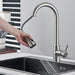 Chef’s Choice Single - Handle Kitchen Sink Faucet with Pull - Down Sprayer - Monsta Online