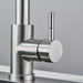 Chef’s Choice Single - Handle Kitchen Sink Faucet with Pull - Down Sprayer - Monsta Online