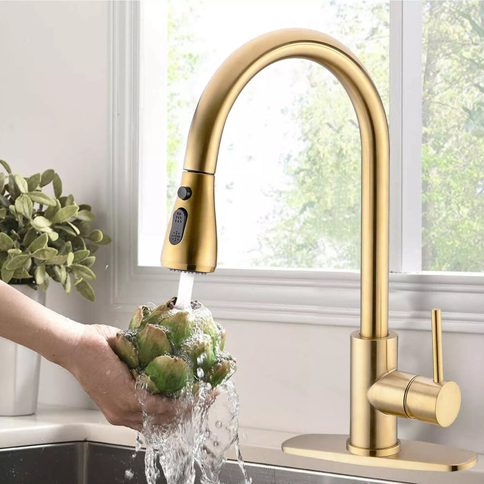 Chef’s Choice Single - Handle Kitchen Sink Faucet with Pull - Down Sprayer - Monsta Online