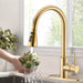 Chef’s Choice Single - Handle Kitchen Sink Faucet with Pull - Down Sprayer - Monsta Online