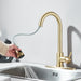 Chef’s Choice Single - Handle Kitchen Sink Faucet with Pull - Down Sprayer - Monsta Online